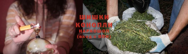 PSILOCYBIN Алексеевка